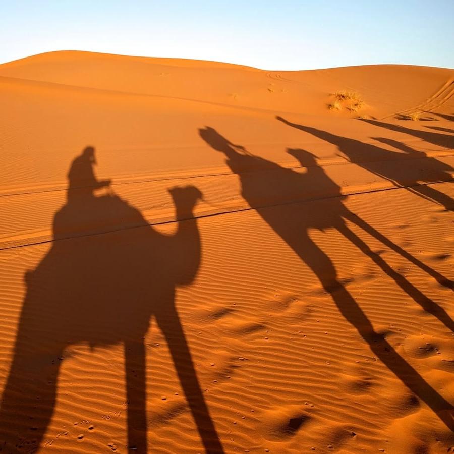Silhouette shadows of people riding camels across sand dunes.